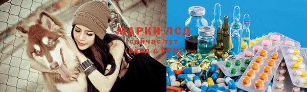 ГАЛЛЮЦИНОГЕННЫЕ ГРИБЫ Алексин