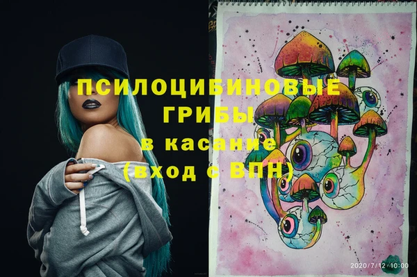 ГАЛЛЮЦИНОГЕННЫЕ ГРИБЫ Алексин