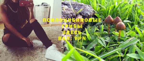 ГАЛЛЮЦИНОГЕННЫЕ ГРИБЫ Алексин